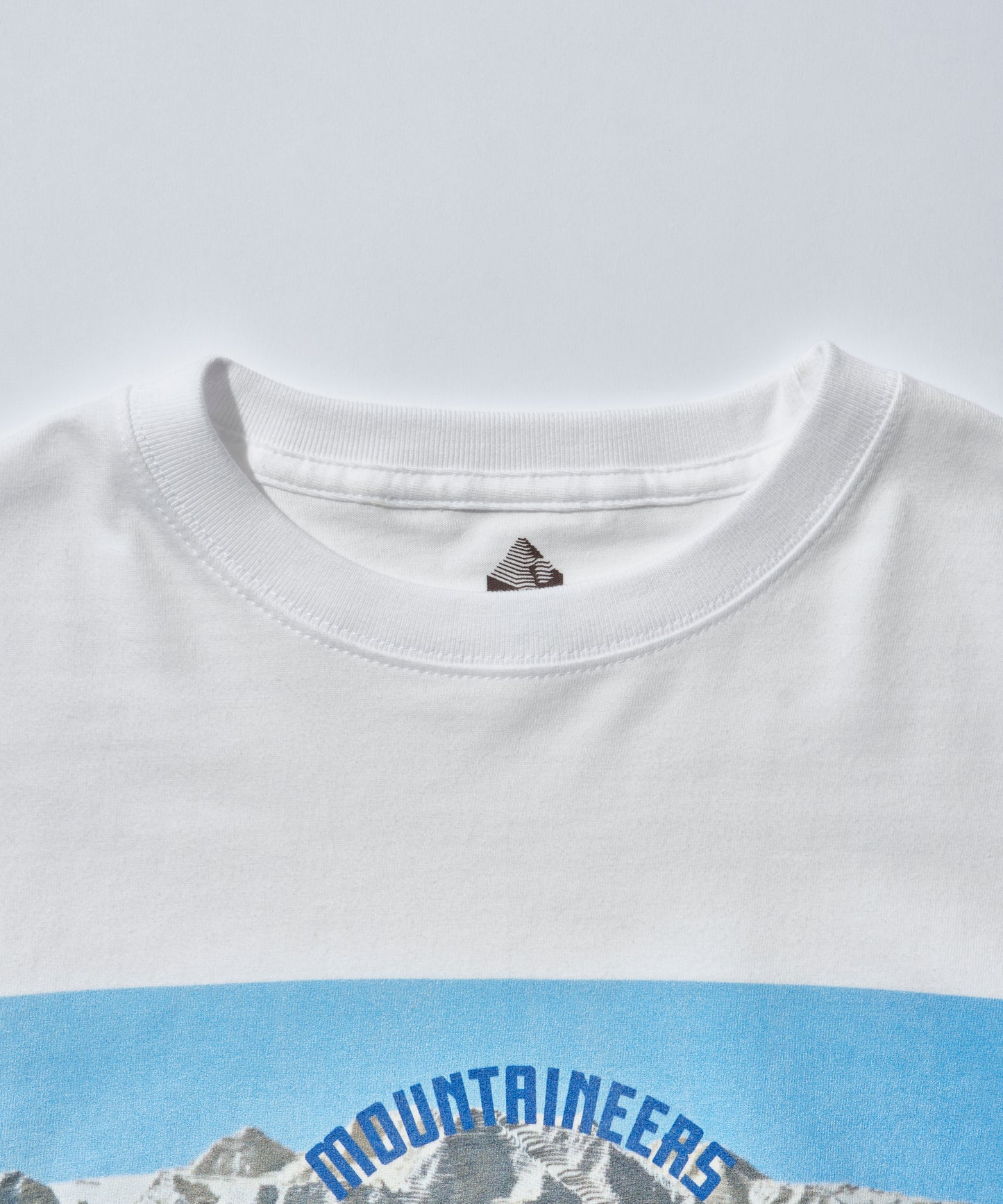 Title Tee L/S