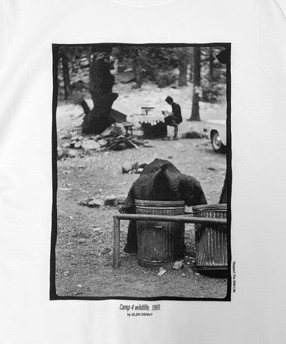 Camp 4 wildlife, 1969.